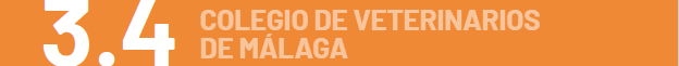 3.4 - Colegio Veterinarios